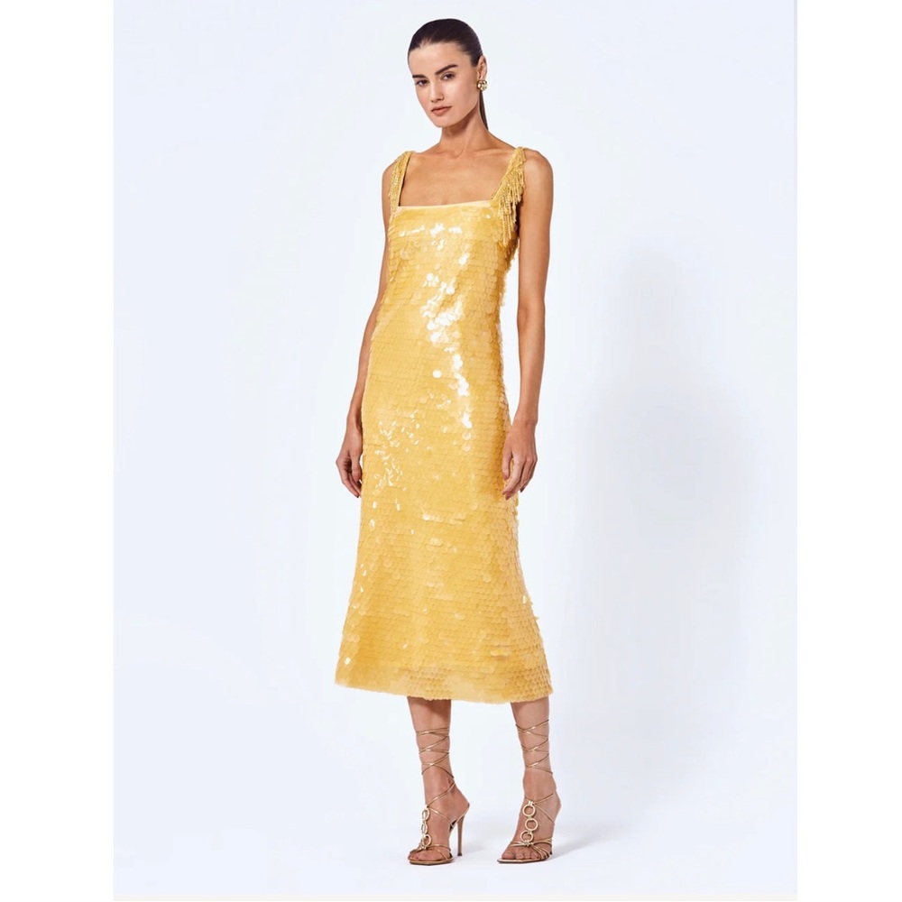 BNWT Alexis Felici Dress